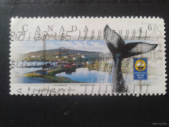 Канада 1999 Ньюфаунленд, кит