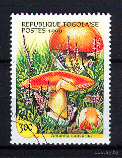 1999 Того. Цезарский гриб