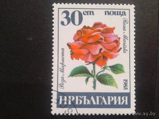 Болгария 1985 роза