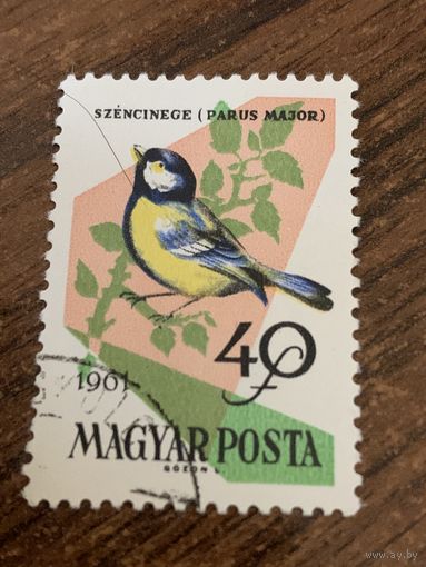 Венгрия 1961. Птицы. Paris Major. Марка из серии
