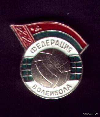 Федерация волейбола БССР