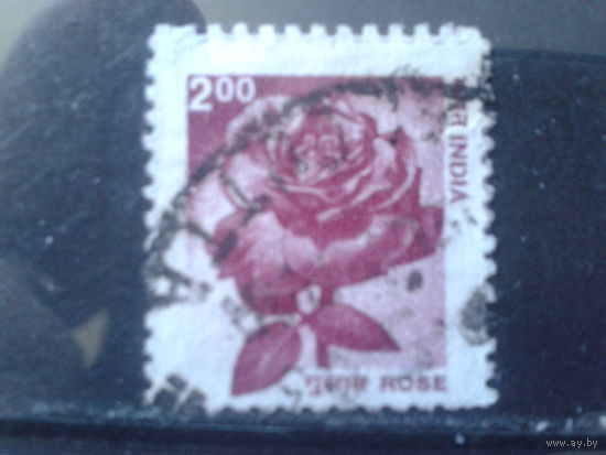 Индия 2002 Стандарт, роза