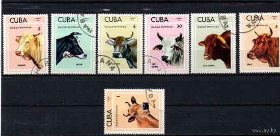 Куба. 1973. Фауна. Домашние животные. Полн. серия. Sc# 1804-10. Фил. гаш. Коровы