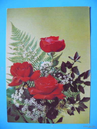 Дергилев И., Цветы, 1990, 1991, чистая.