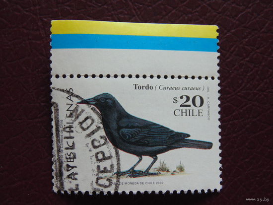 Чили 2000 г. Птица.