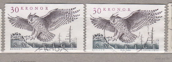 Птицы Фауна Швеция 1989 год  лот 1077 Цена за 1- марку на выбор