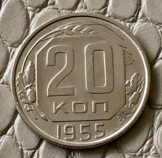 20 копеек 1955 года.