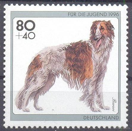 Германия 1996 фауна собака