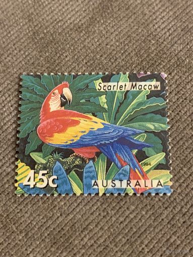 Австралия 1994. Попугаи