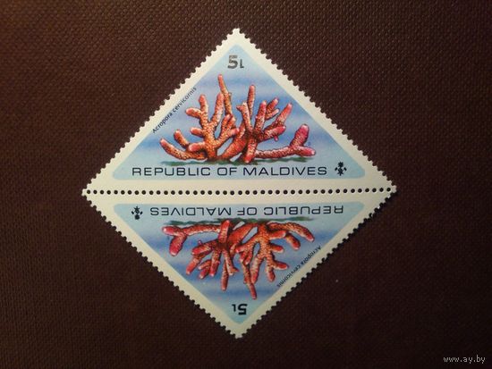 Мальдивы 1975 г.Оленерогий коралл.