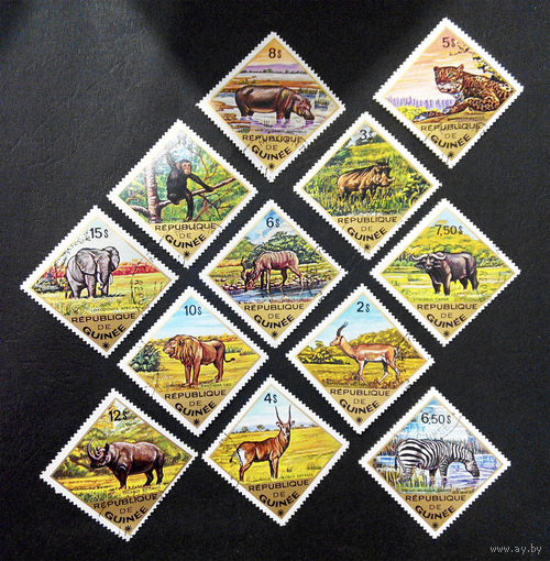 Гвинея 1975 г. Дикие животные. Фауна Африки, полная серия из 12 марок #0226-Ф1P52