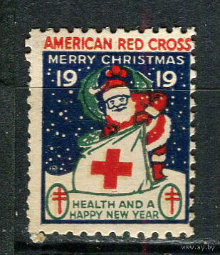 США - 1919 - Рождество и Новый год - 1 виньетка. MH.  (LOT EA28)-T10P29