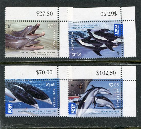 Австралия. Дельфины