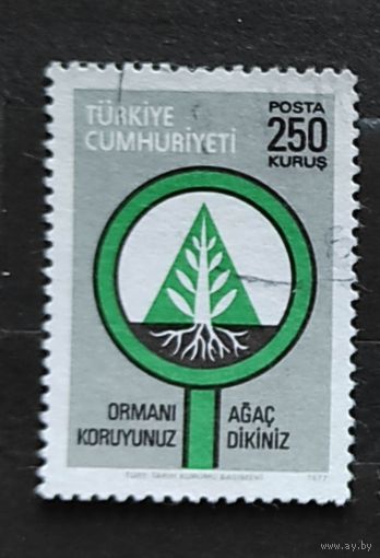 Турция, 1м гаш, выращиваем деревья