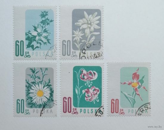 Польша 1957 / Флора / Цветы / Серия 5 Марок