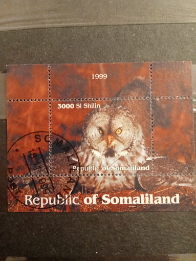 Сомали 1999. Сова