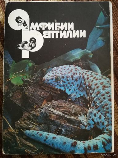 22 цветные открытки.( 1989г.)  Полная коллекция. Амфибии/Рептилии.
