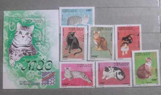 Вьетнам.1990г. Фауна. Коты.