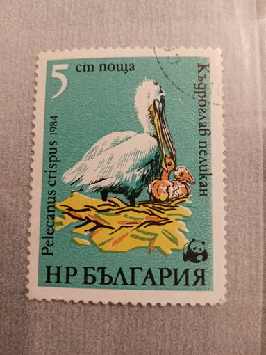 Болгария 1984. Пеликан