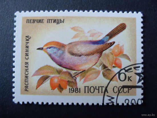 СССР. Расписная синичка 1981 певчие птицы