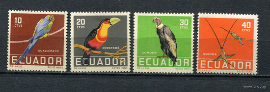 Эквадор - 1958 - Птицы - [Mi. 956-959] - полная серия - 4 марки. MNH.  (LOT EQ49)-T10P44