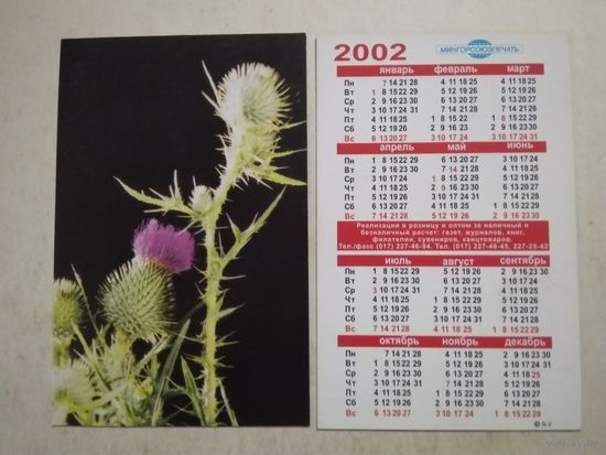 Карманный календарик. Цветок. Мингорсоюзпечать. 2002 год