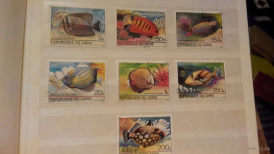 Рыбы, фауна, марки, Заир, 1980