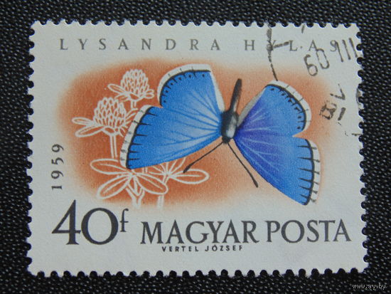 Венгрия 1959 г. Бабочки. Голубянка донниковая.