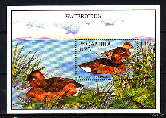 1995 Гамбия. Утки
