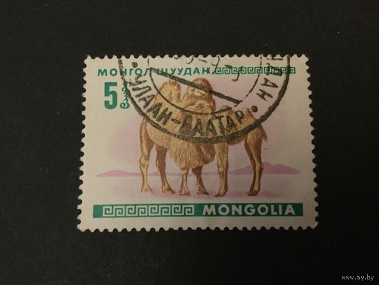 Молодняк. Монголия,1968, марка из серии