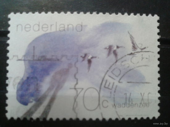 Нидерланды 1982 Водные птицы