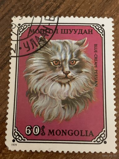 Монголия 1979. Домашние кошки. Blue-cream Persian. Марка из серии