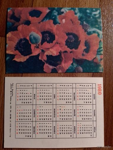 Карманный календарик.1980 год.Маки