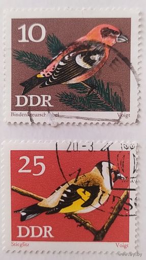 ГДР, птицы
