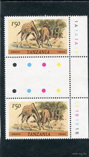 Танзания. Жираф, сцепка