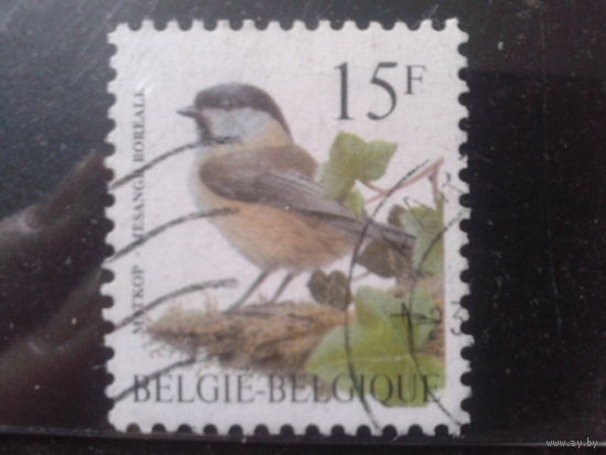 Бельгия 1997 Стандарт, птица 15 франков