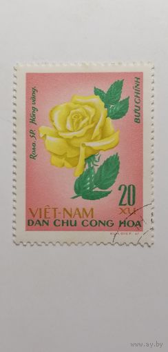 Вьетнам 1968. Розы.