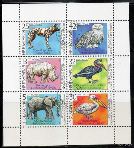 100 лет Софийскому зоопарку Болгария 1988 год малый лист из 6 марок