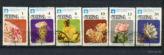 Куба - 1978 - Кактусы - [Mi. 2294-2299] - полная серия - 6 марок. Гашеные.  (Лот 12AM)(BB)