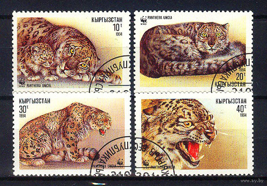 1994 Кыргыстан. Ирбис или снежный леопард