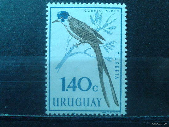 Уругвай 1962 Уховертка** Михель-2,5 евро