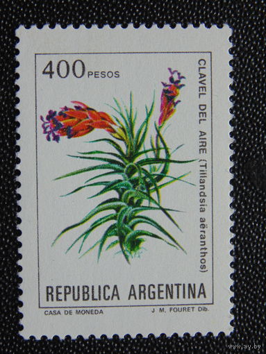 Аргентина.  Цветы.