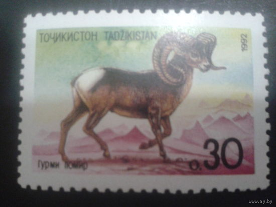 Таджикистан 1992 горный баран