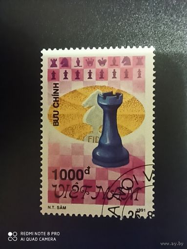 Вьетнам 1991, шахматы