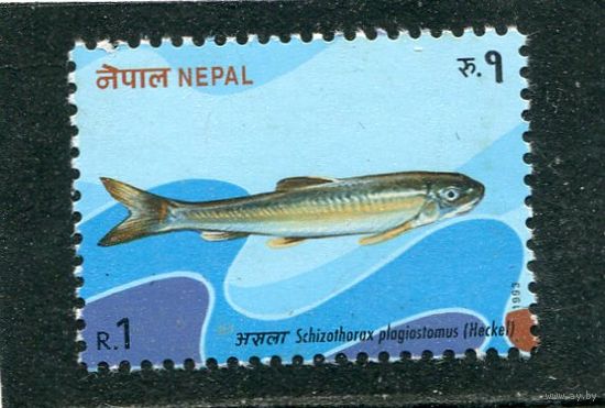 Непал. Лучеперые рыбы