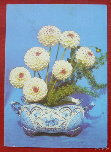 Цветы. Чистая. 1992 года. Суханова. 1390.