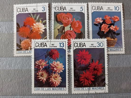 Куба 1987. Цветы