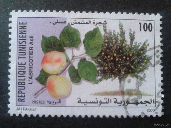 Тунис 2000 фрукты