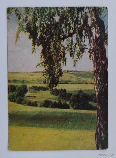 Почтовая карточка 1962 г. "Подмосковье. Равнина". Фото Л. Раскина.