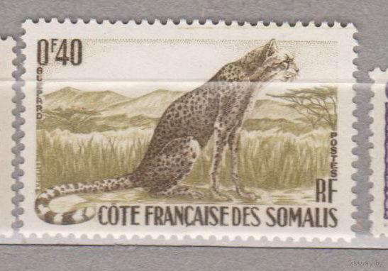 Колонии Французская колония Фауна Гепард дикие кошки Сомали 1958 год лот 12 ЧИСТАЯ
